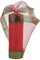 10" Border Stripe Metallic Mesh Ribbon: Red/Lime Green (10 Yards)